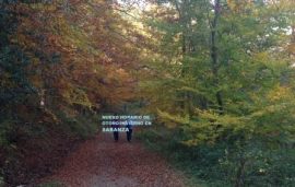 En Sabanza volvemos al horario de otoño/invierno
